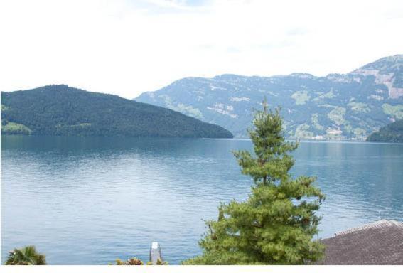 Seehotel Sternen Beckenried Bagian luar foto